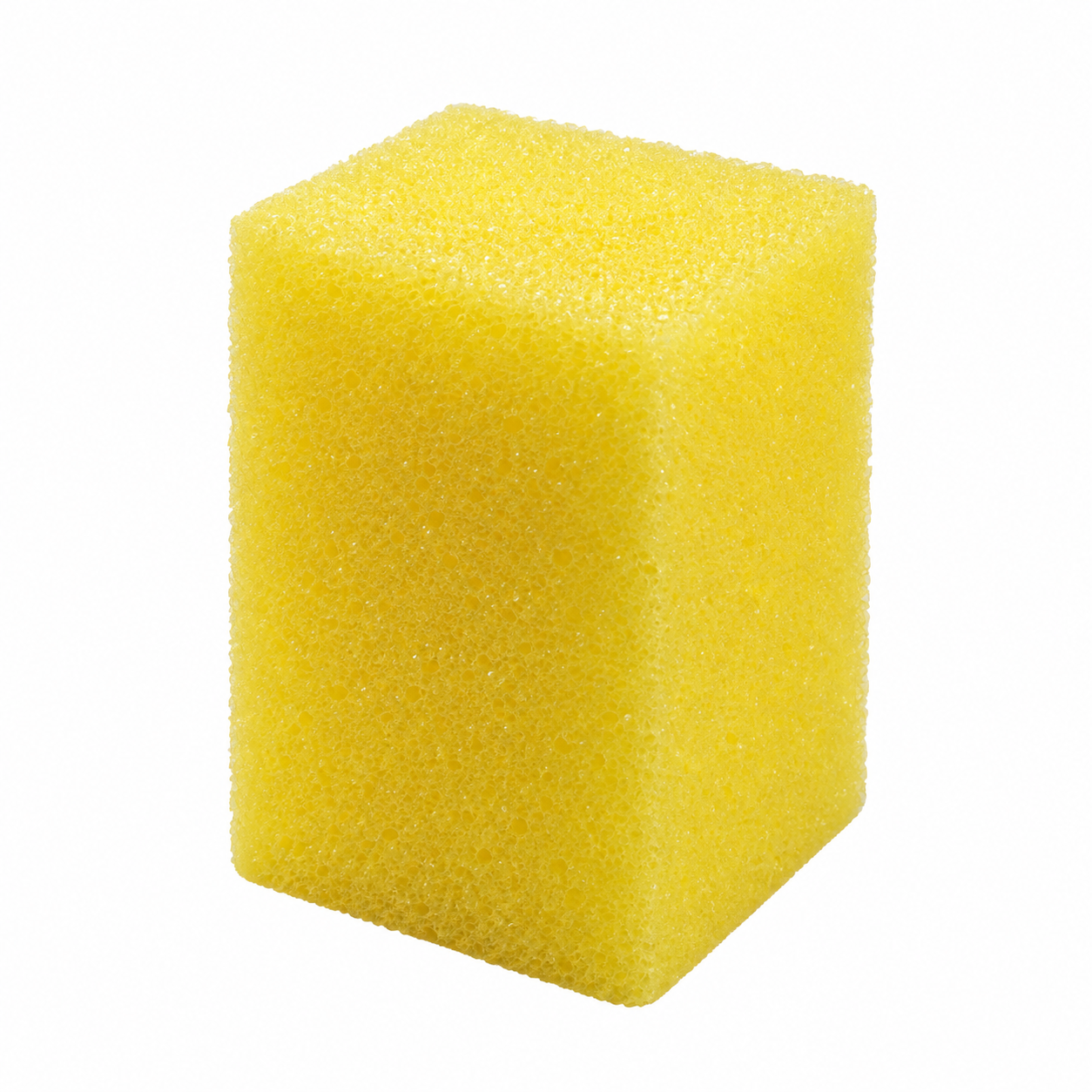Buff & Shine Bug Scrubber Sponge - 10 Pack